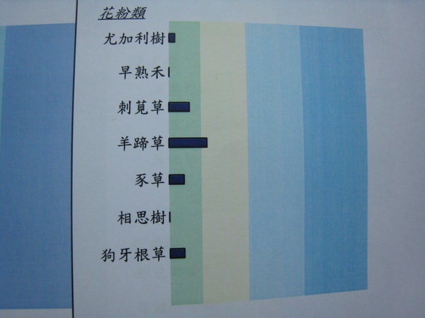20241125-2s25r