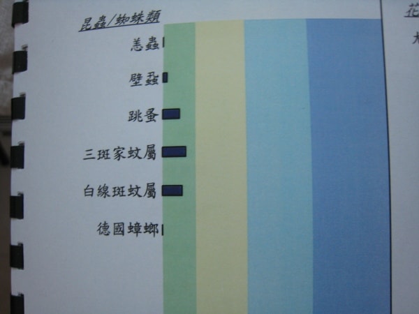 20241125-39lxu