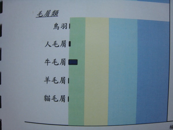 20241125-6qjok