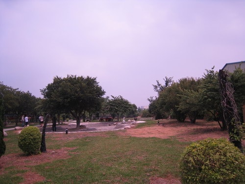 20241125-8kff1