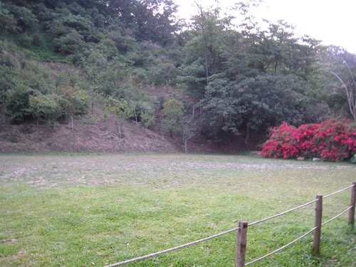 20241125-okh9p