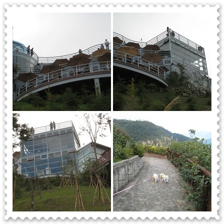 20241125-43gbi