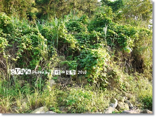 20241125-yjf3w