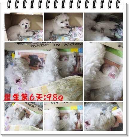 20241125-9dvyo