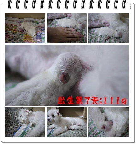 20241125-9xget