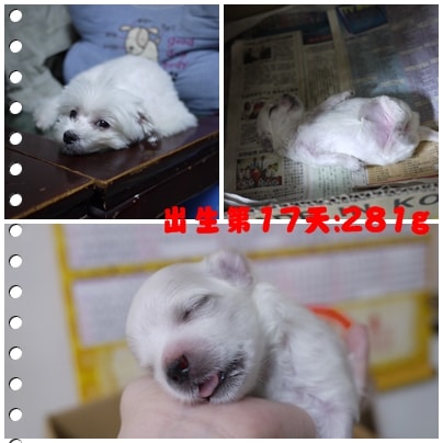 20241125-7vjbk 20241125-7vjbk