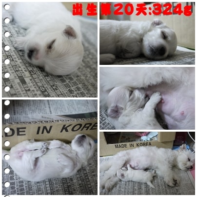 20241125-i28sw 20241125-i28sw