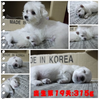 20241125-ih6cm 20241125-ih6cm