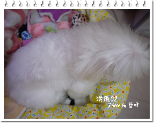 20241125-pcoz4