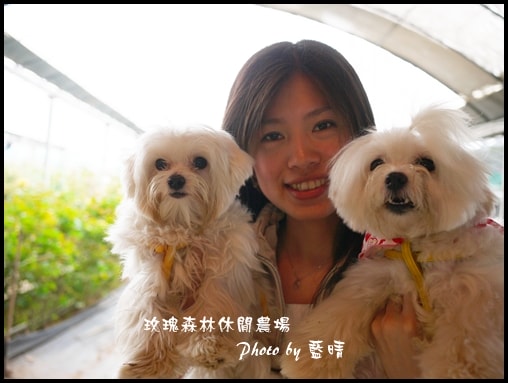 20241125-ppvey
