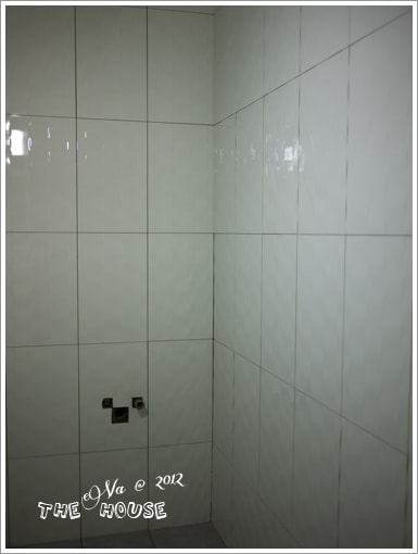 20241125-6qfox