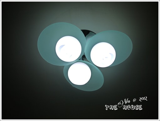 20241125-prhg3
