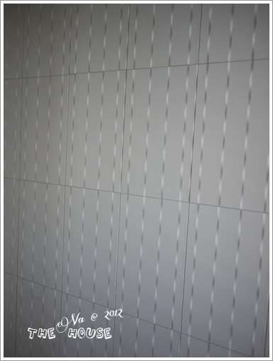 20241125-r6jnl