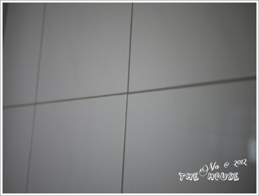 20241125-szm13