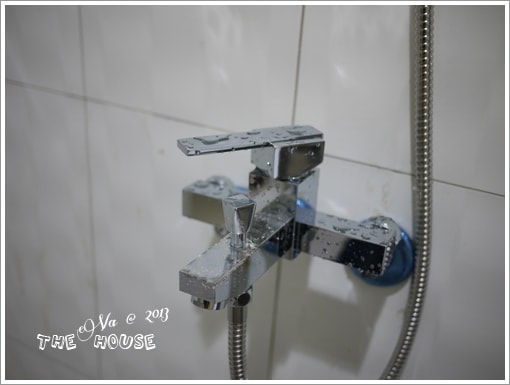 20241125-lron1