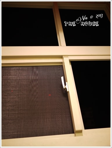 20241125-sgjv7