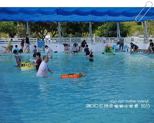 20241125-9mjlo