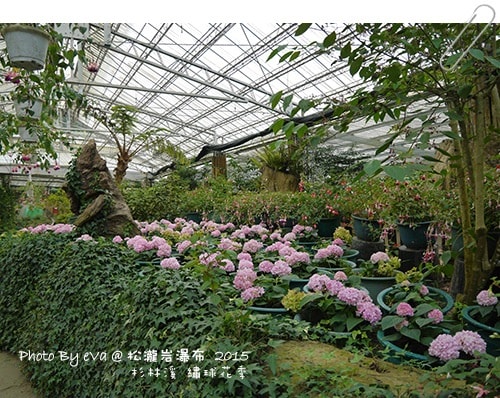 20241125-q5ban