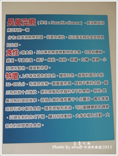 20241125-shza2