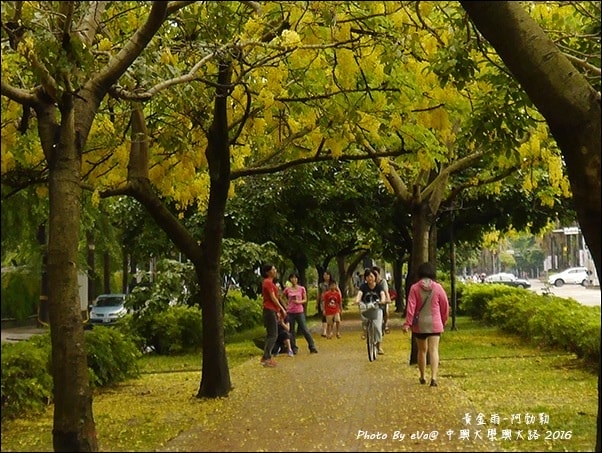 20241125-7anx4