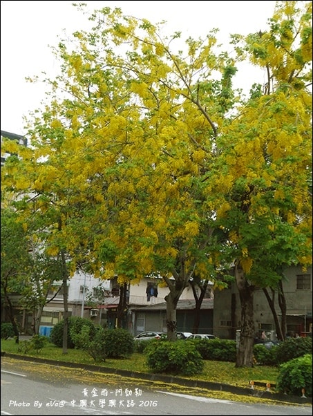 20241125-lcqlm