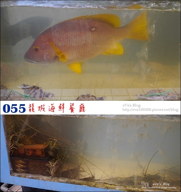 20241125-rmyru