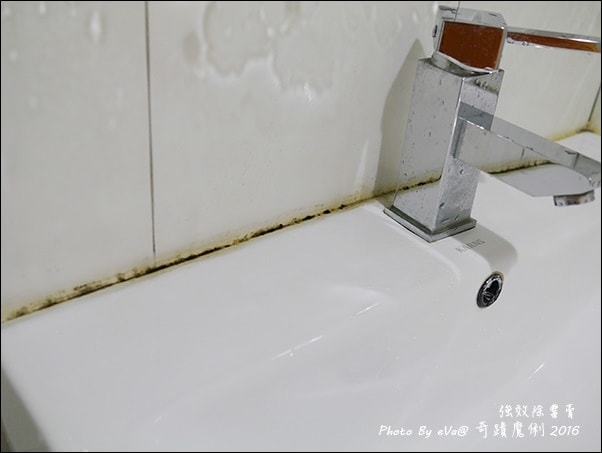 20241125-ibu1z