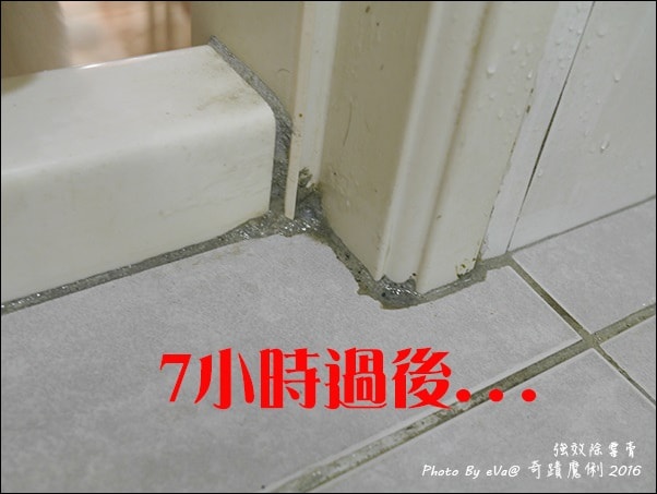 20241125-qbpvl