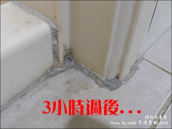 20241125-whkyh