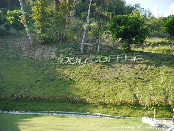 20241125-6ogtu