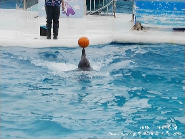 20241125-7slnh