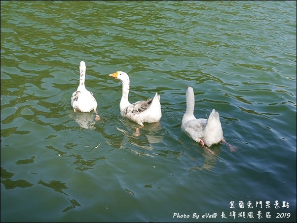 20241125-vpfg8