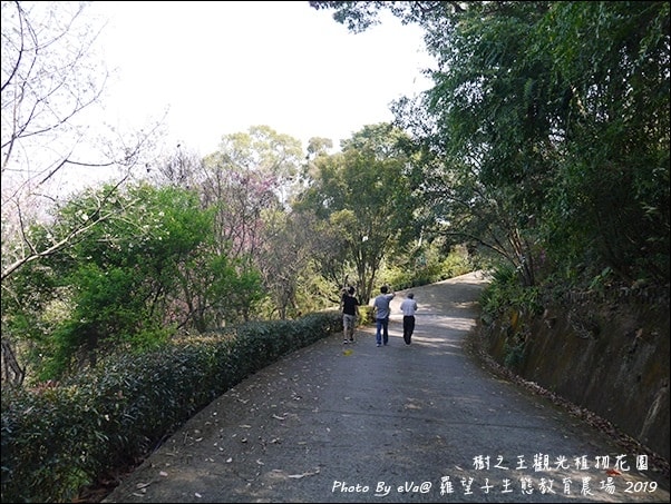20241125-j7sew