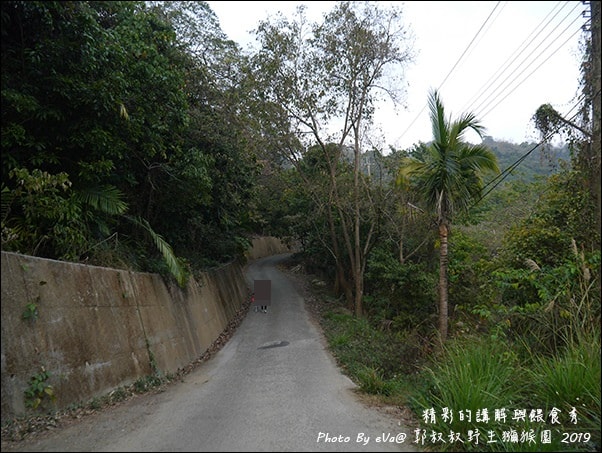 20241125-n47id