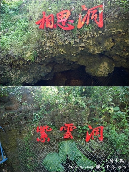 20241125-cgjdj