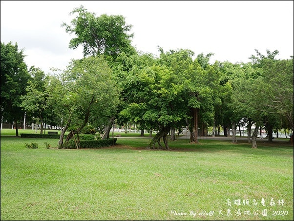 20241125-85lt7