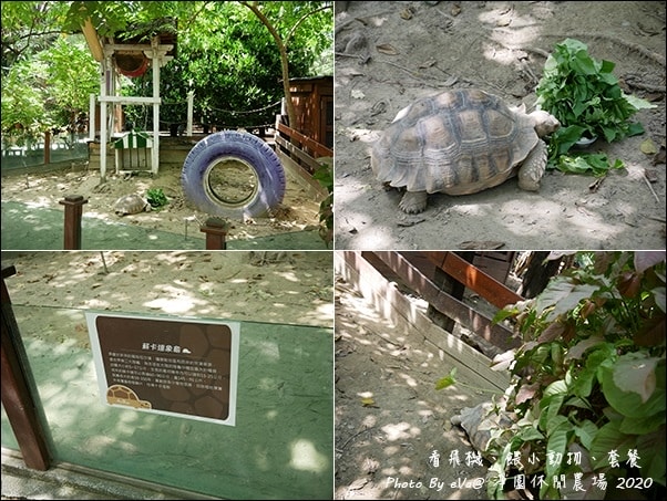 20241125-wuu2e