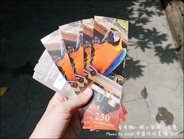 20241125-ykz93