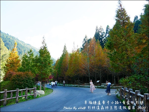 20241125-0pueu