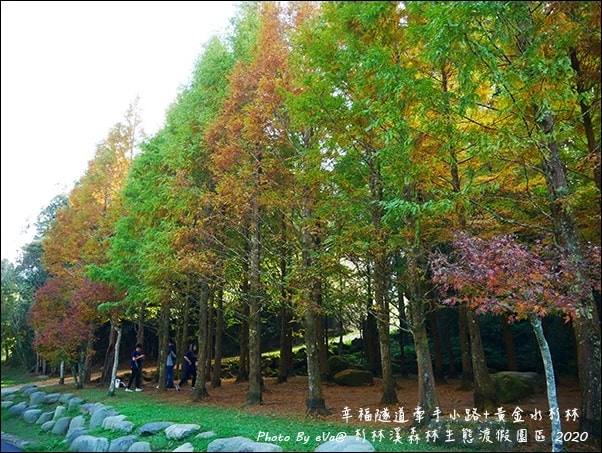 20241125-2gpjq