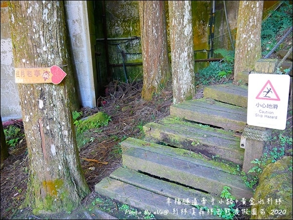 20241125-uvg7e