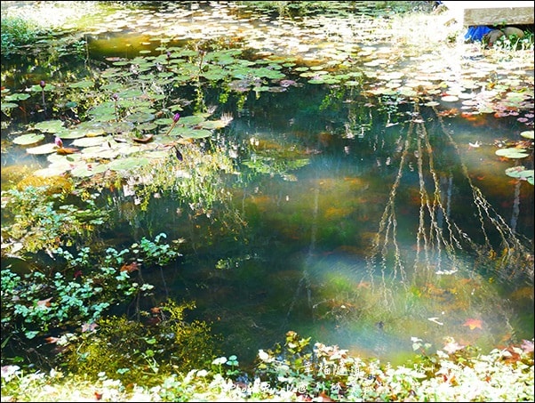 20241125-zw90s