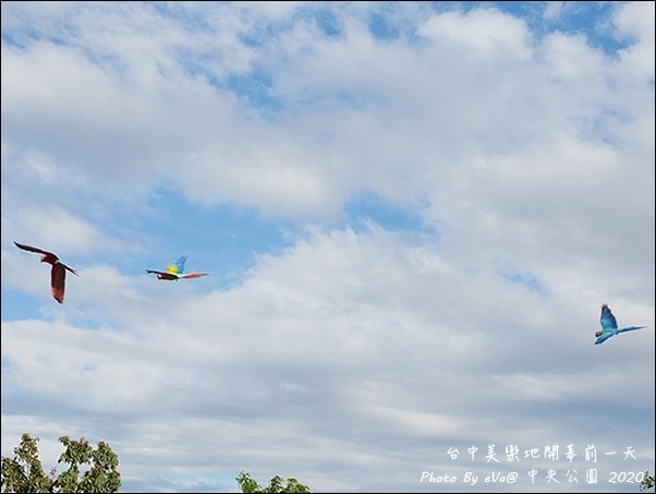 20241125-iap35
