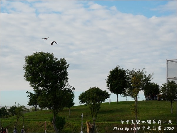 20241125-yz1sa