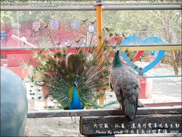 20241125-zt8ko