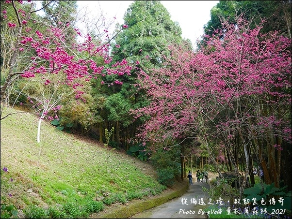 20241125-4ibmf