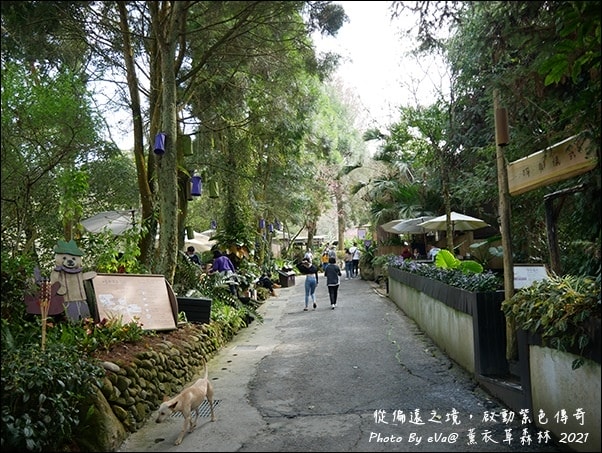 20241125-6iuwe