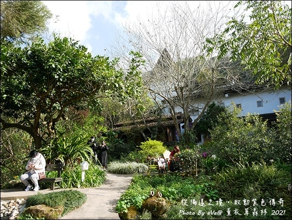 20241125-yejks