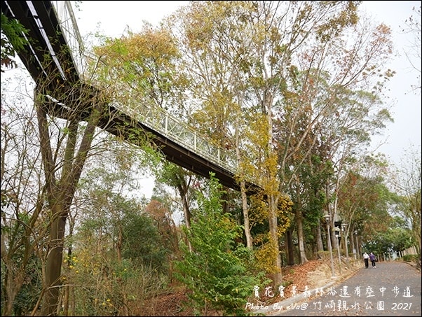 20241125-cm0fj