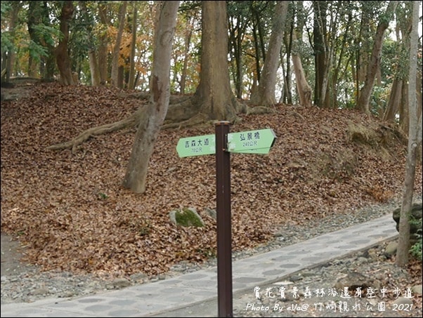 20241125-lr7yz